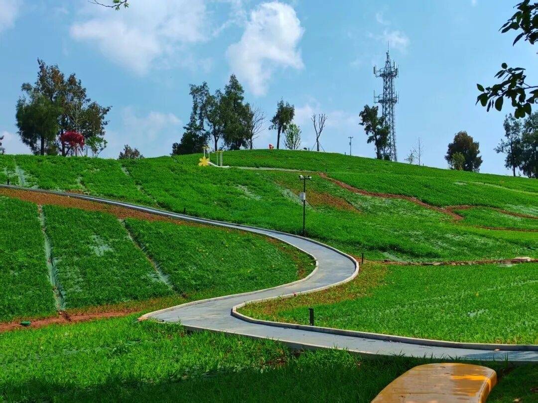 忘忧花园·鸡山理想村：山海田园间的“治愈系影视盲盒”(图6)