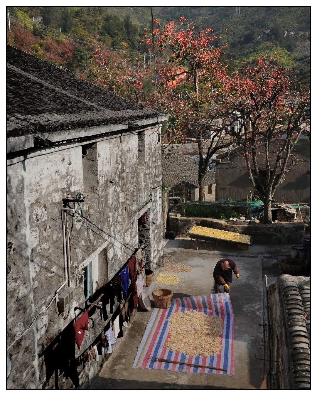 玉环龙溪镇山里村：山海石屋间的时光蒙太奇(图3)