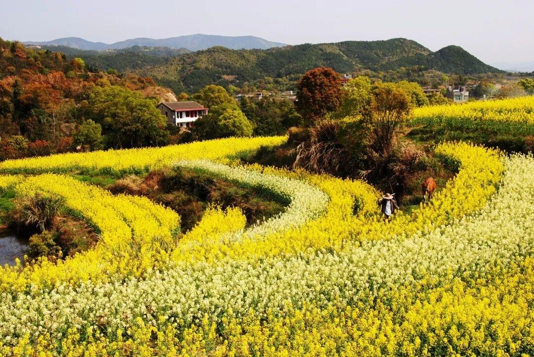 玉环龙溪镇山里村：山海石屋间的时光蒙太奇(图5)