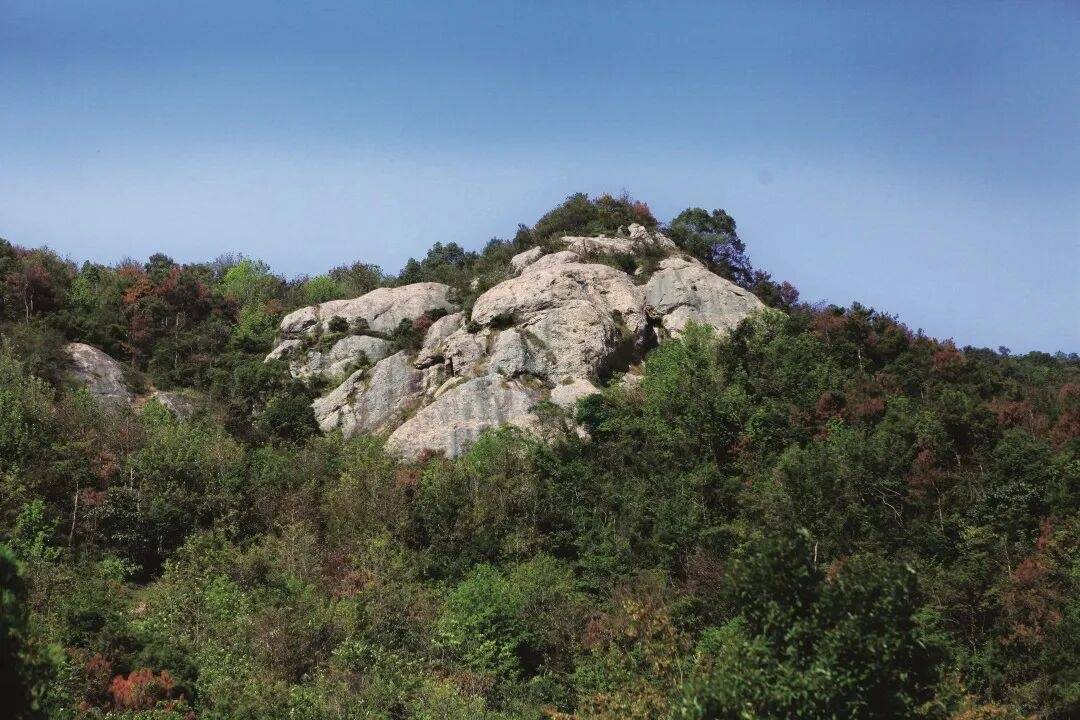 玉环芦浦百丈岩：309米山巅的“禅意光影场”(图9)