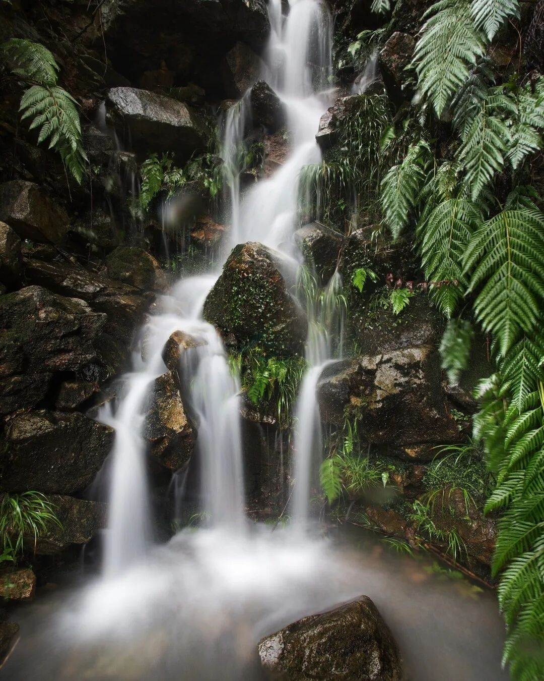 玉环清港大雷山:道教道场与山海胜迹间的“仙侠光影库”(图3) 玉环清港大雷山:道教道场与山海胜迹间的“仙侠光影库”治愈/日出日落(图2)