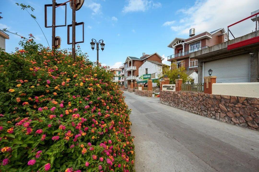 影视取景地推荐｜玉环垟根村：漫山文旦的田园治愈场(图7)