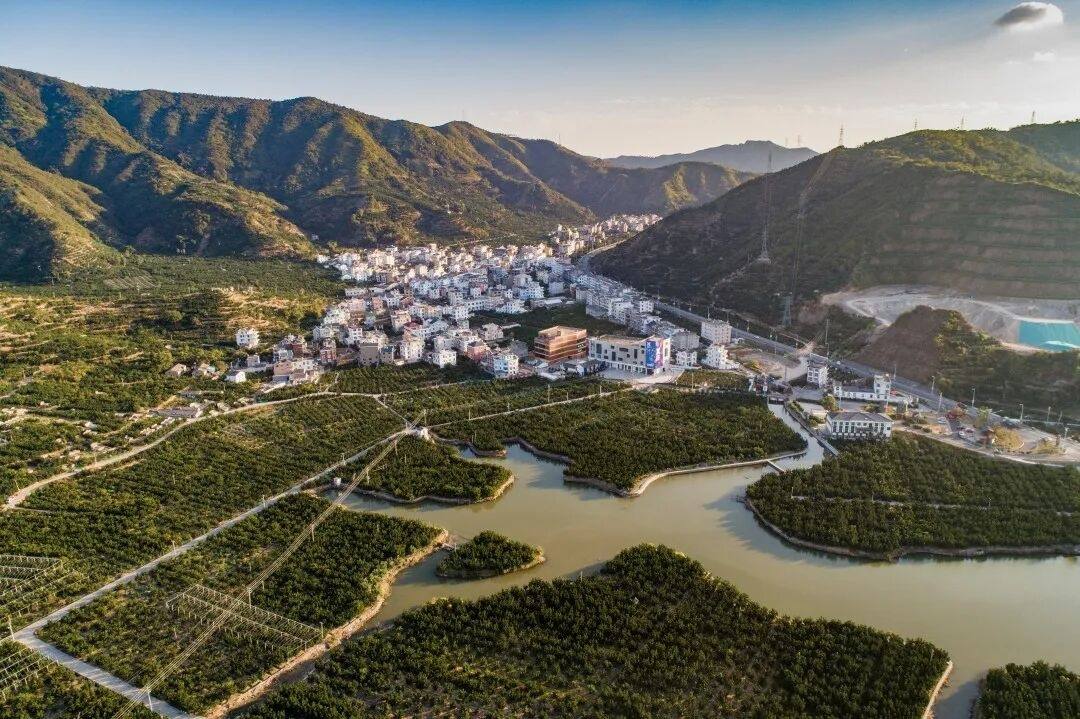 影视取景地推荐｜玉环垟根村：漫山文旦的田园治愈场