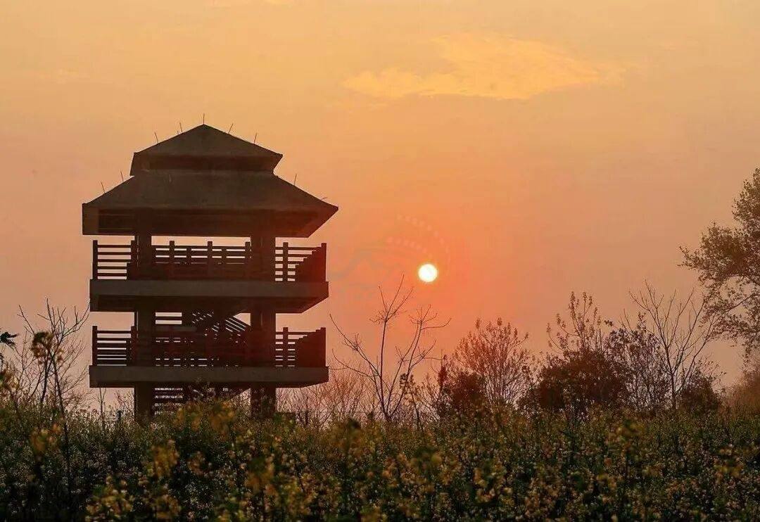 温岭太平街道藤岭：山海间的“野趣片场”(图2)