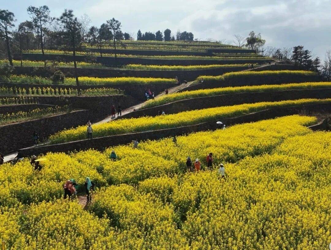 温岭太平街道藤岭：山海间的“野趣片场”(图5)