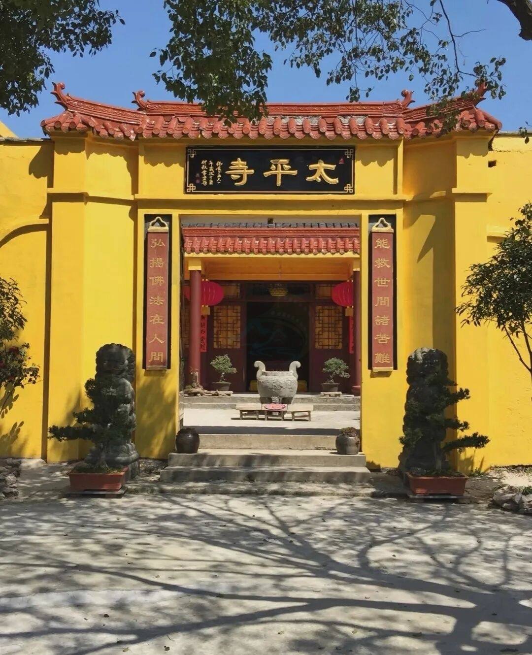 温岭太平街道藤岭：山海间的“野趣片场”(图4)