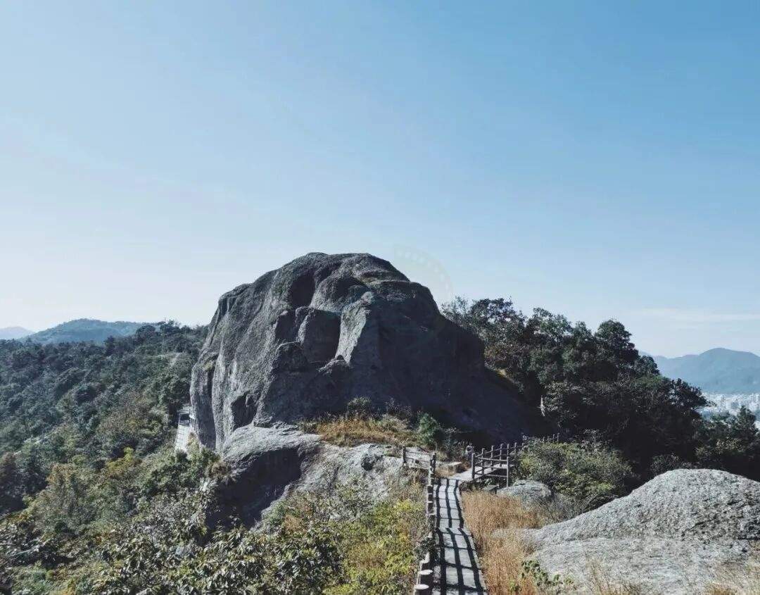 温岭太平街道藤岭：山海间的“野趣片场”(图6)