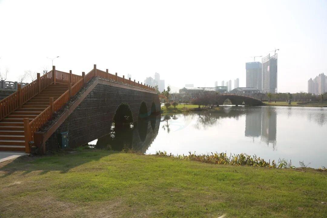 影视取景地｜九龙湖：把“都市绿洲”装进镜头里1000字解锁N种拍法(图4)