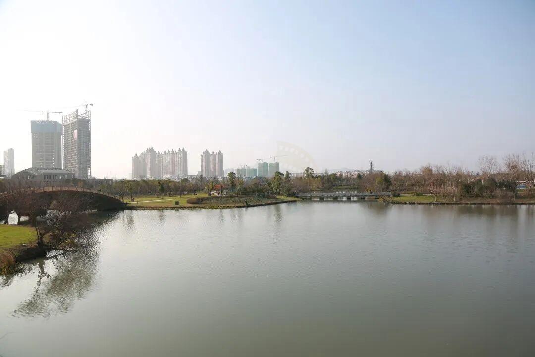 影视取景地｜九龙湖：把“都市绿洲”装进镜头里1000字解锁N种拍法(图6)