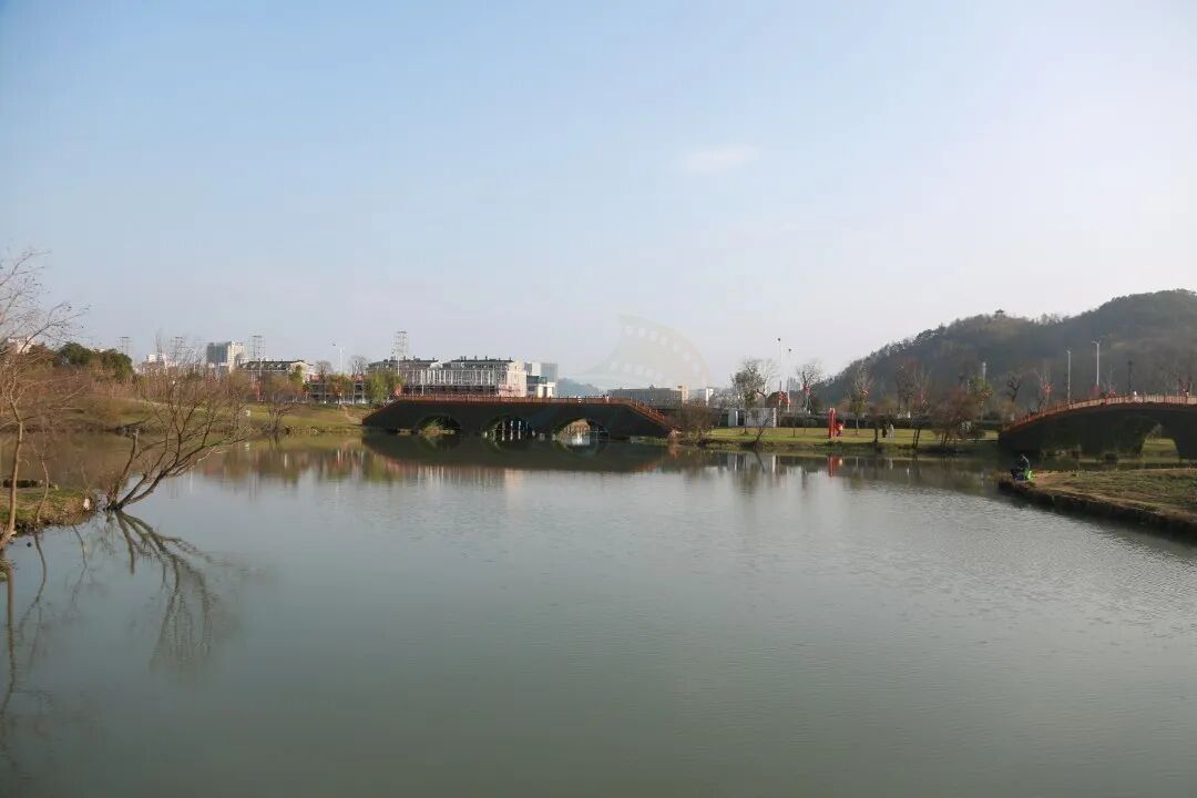 影视取景地｜九龙湖：把“都市绿洲”装进镜头里1000字解锁N种拍法(图8)