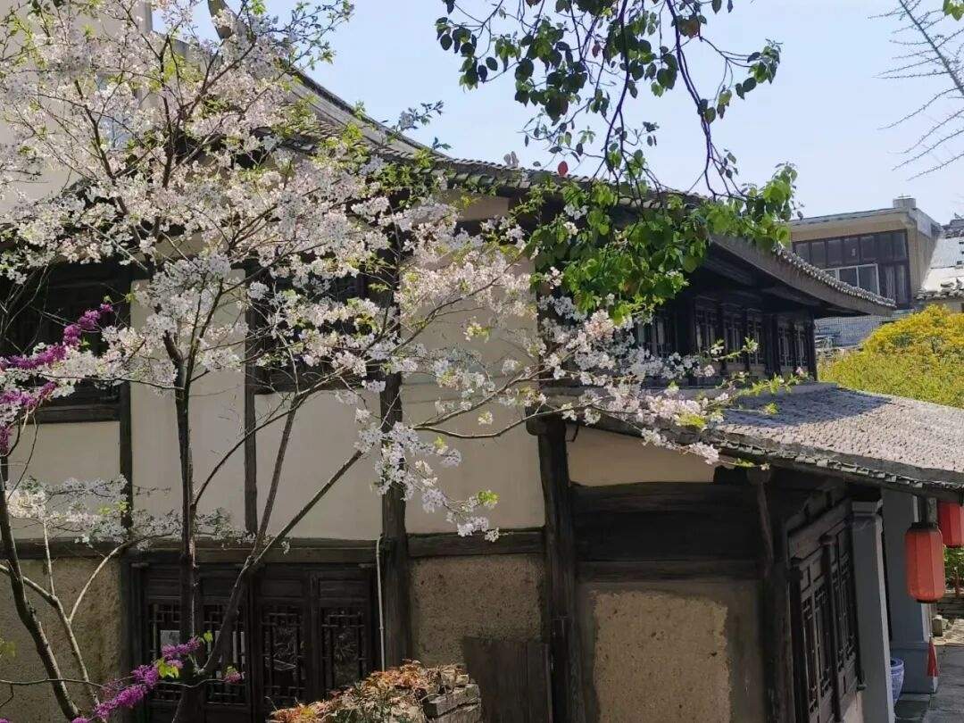 温岭箬横白峰山：云岚叠嶂间的“山海光影片场”(图4)