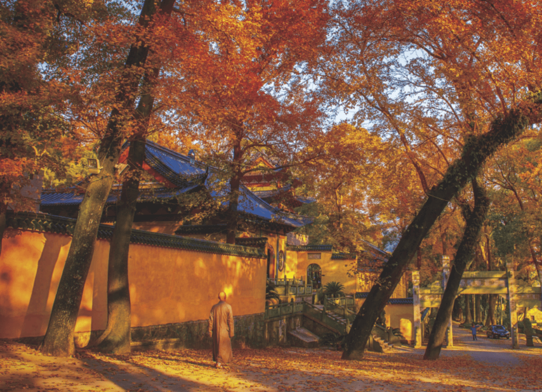 温岭温峤小明因讲寺:宋韵古建与禅意生态交织的“影视诗性场”(图2) 温岭温峤小明因讲寺:宋韵古建与禅意生态交织的“影视诗性场”(图2)