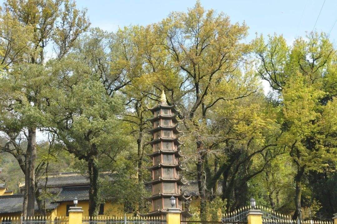 温岭温峤小明因讲寺：宋韵古建与禅意生态交织的“影视诗性场”(图5)