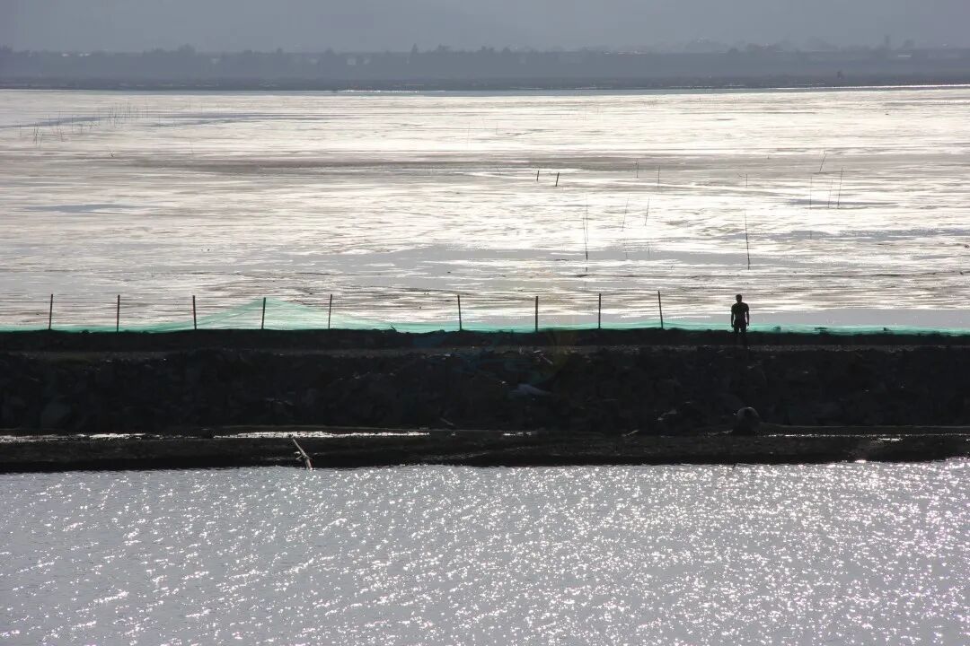 温岭城南犁头咀渔港：潮声浪影中的“海洋光影片场”(图3)