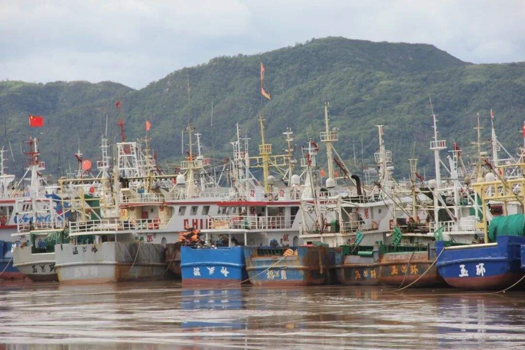 温岭城南犁头咀渔港：潮声浪影中的“海洋光影片场”(图9)