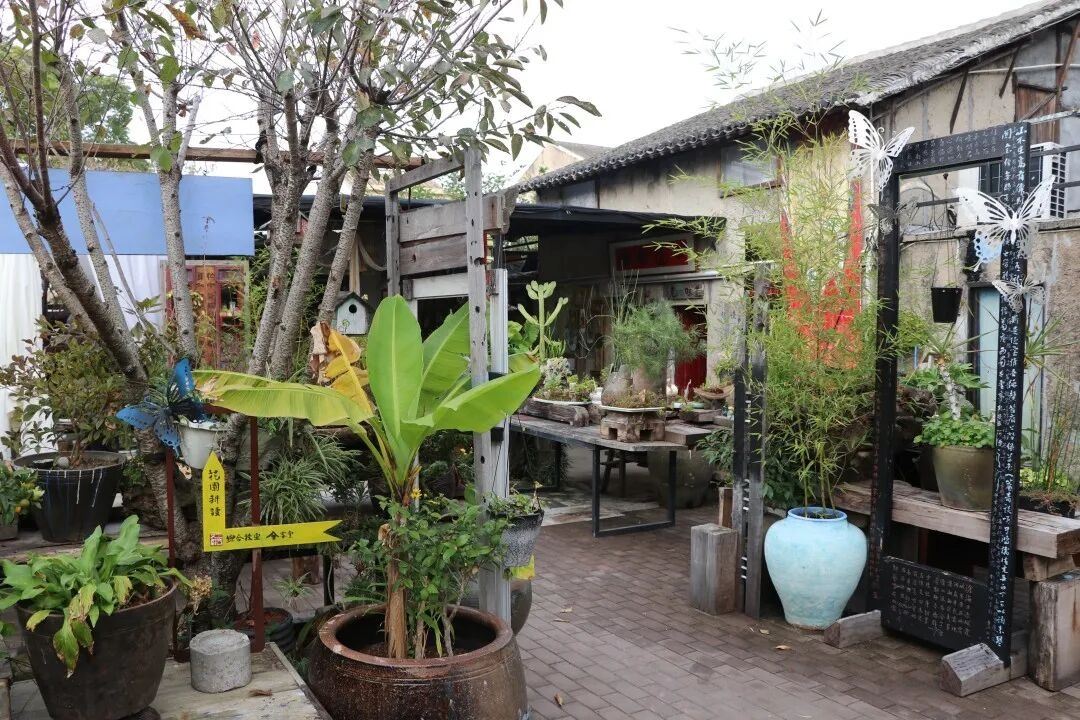 温岭石桥头三透里文创园：古建活化与文创烟火交织的“影视时光机”(图1)