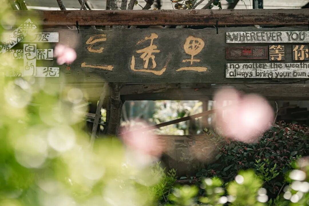 温岭石桥头三透里文创园：古建活化与文创烟火交织的“影视时光机”(图4)