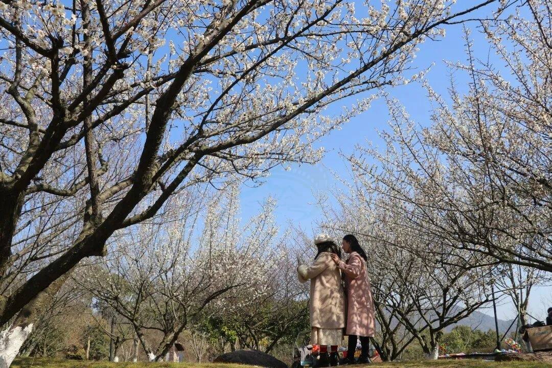 温岭石桥头温岭市植物园：山水褶皱里的“生态影视叙事场”(图3)