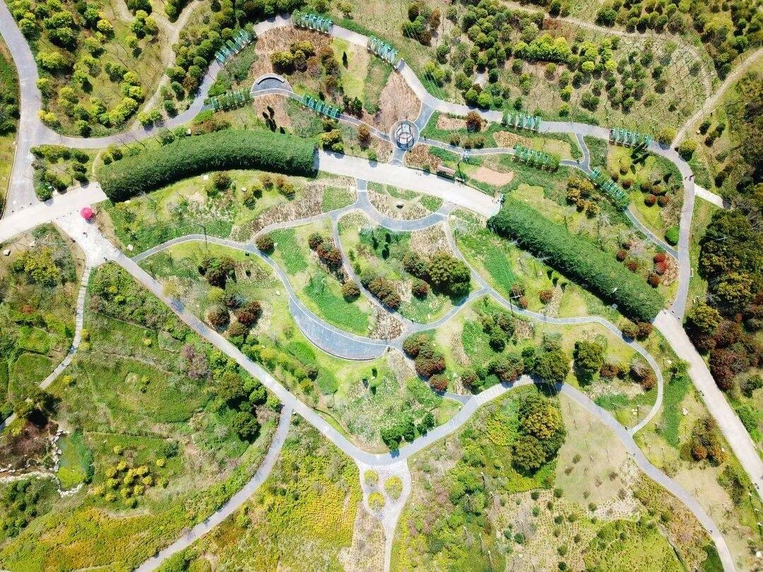 温岭石桥头温岭市植物园：山水褶皱里的“生态影视叙事场”(图4)