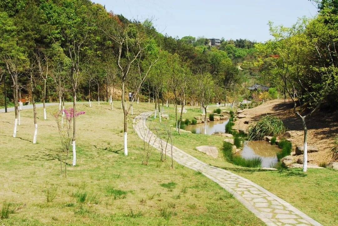 温岭石桥头温岭市植物园：山水褶皱里的“生态影视叙事场”(图8)