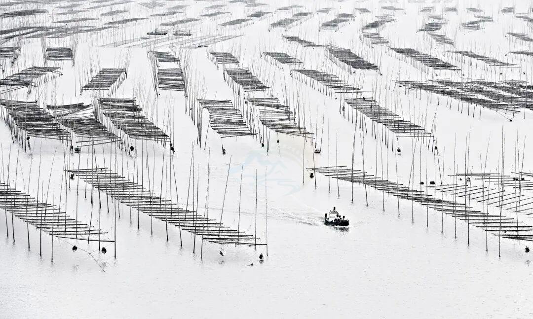 温岭坞根东门头村:蓝海褶皱里的“渔火影视叙事场”(图2) 温岭坞根东门头村:蓝海褶皱里的“渔火影视叙事场”(图2)