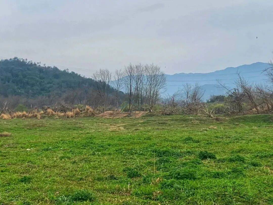 仙居横路丁村：浙东小草原×永安溪谷×四季光影，构建“全维度自然影视外景库”(图2)