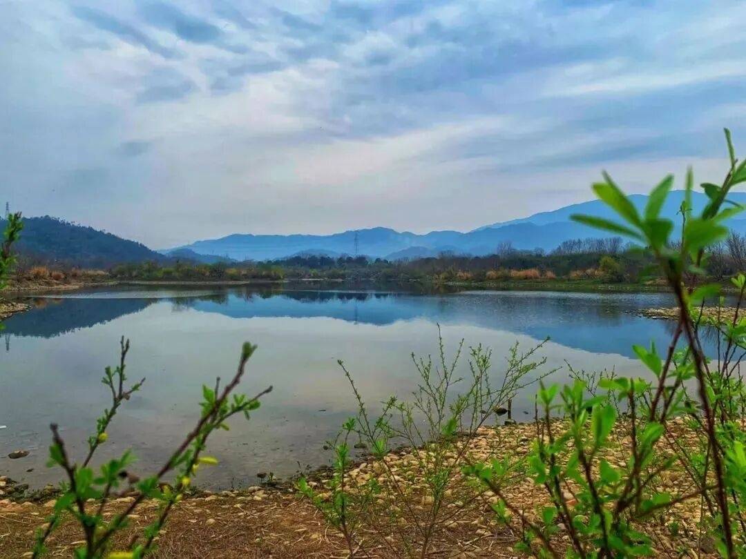 仙居横路丁村：浙东小草原×永安溪谷×四季光影，构建“全维度自然影视外景库”(图1)
