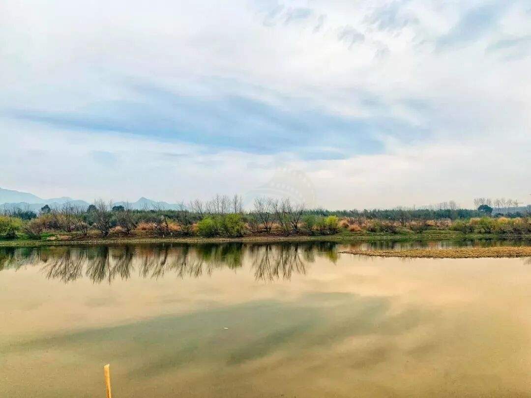 仙居横路丁村：浙东小草原×永安溪谷×四季光影，构建“全维度自然影视外景库”(图4)