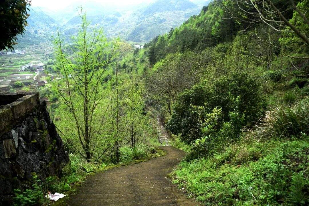 仙居溪港乡清音寺：非遗庙会里的古寺光影(图1)