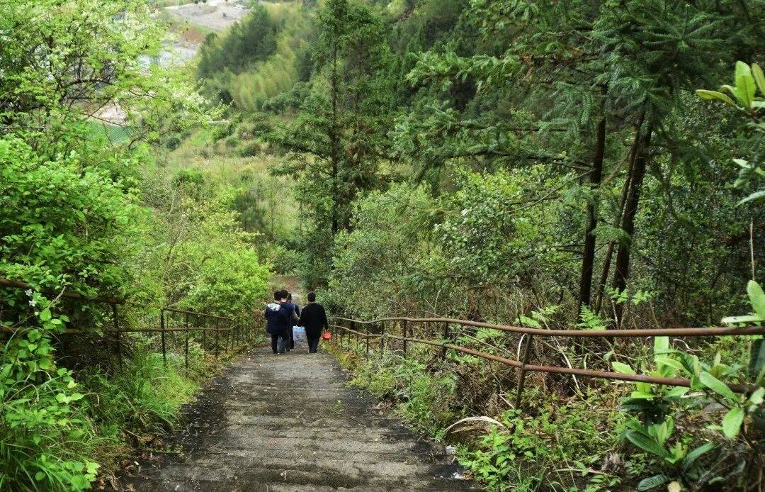 仙居溪港乡清音寺：非遗庙会里的古寺光影(图3)