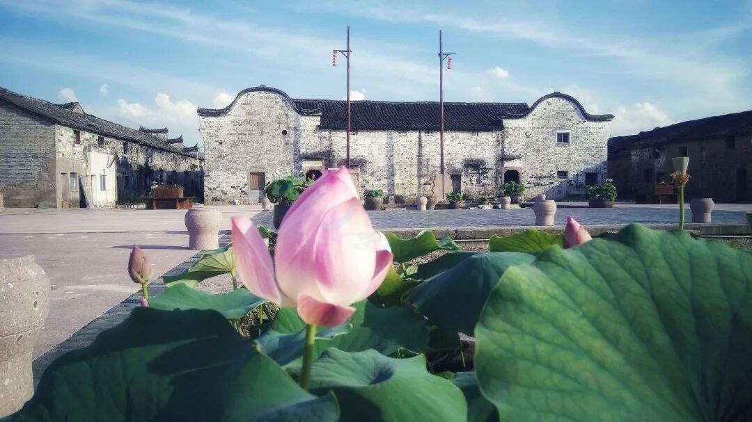 仙居埠头古村：千年烟火里的影视原乡(图6)