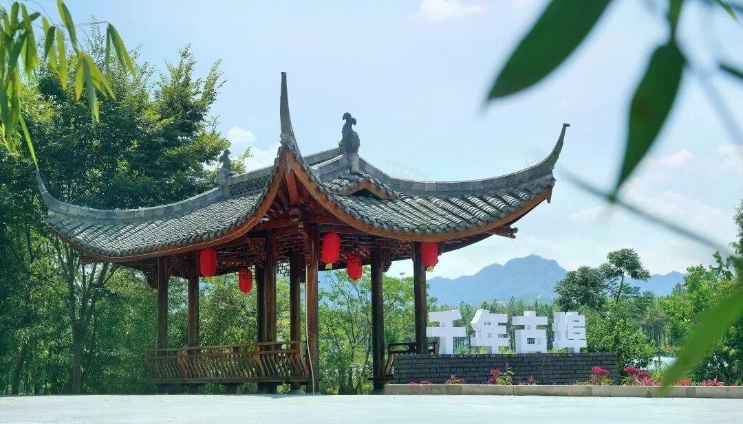 仙居埠头古村：千年烟火里的影视原乡(图7)