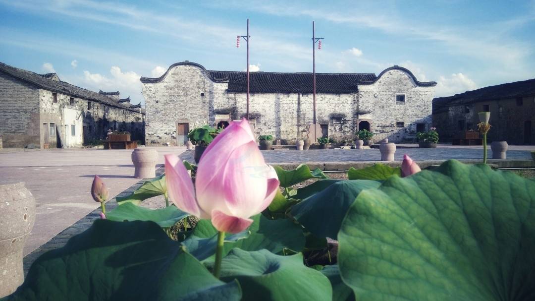 仙居埠头古村：千年烟火里的影视原乡