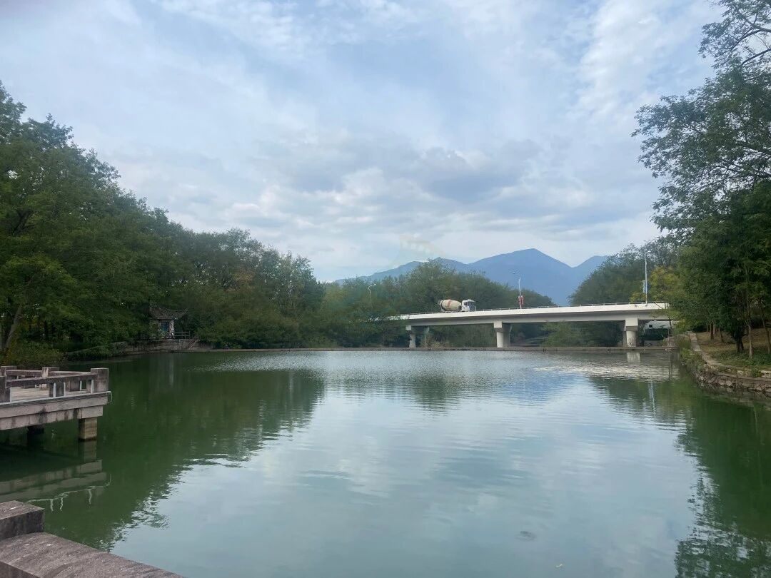 仙居神仙居游客中心：山水灵韵与建筑美学交织的影视外景新坐标(图5)