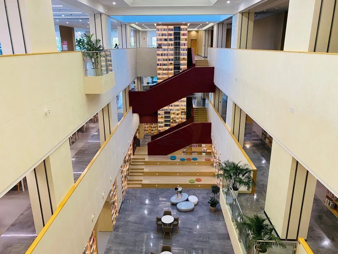 仙居图书馆：文墨里的“影视知识客厅”(图5)