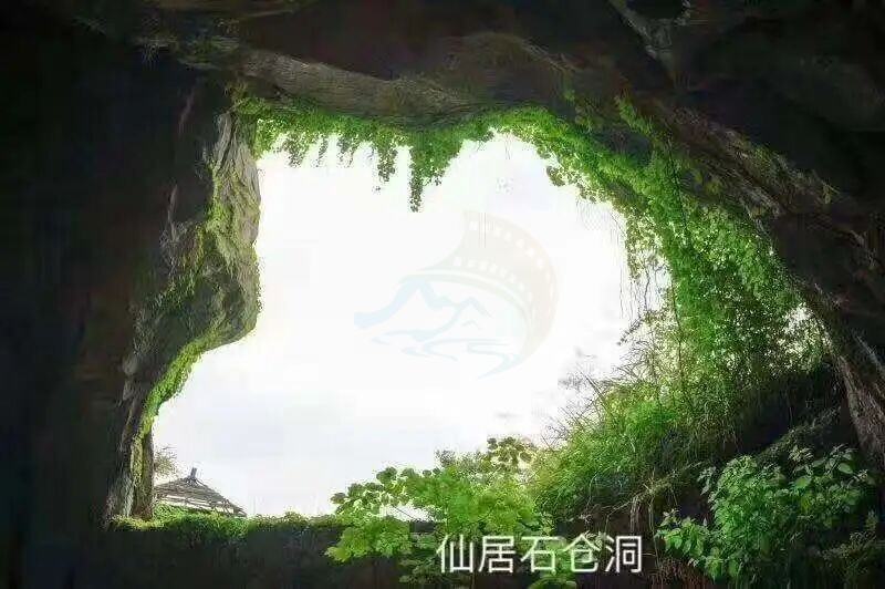 仙居石仓洞：溶洞秘境里的 “光影造梦场”(图8)