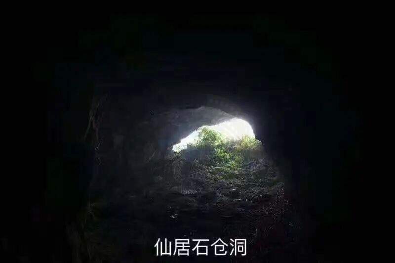 仙居石仓洞：溶洞秘境里的 “光影造梦场”(图11)