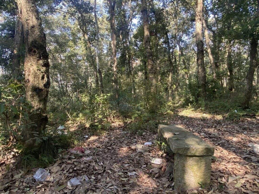 仙居石壁村下叶溪(朱溪港):溪流肌理里的“田园叙事场”(图6) 仙居石壁村下叶溪(朱溪港):溪流肌理里的“田园叙事场”(图6)