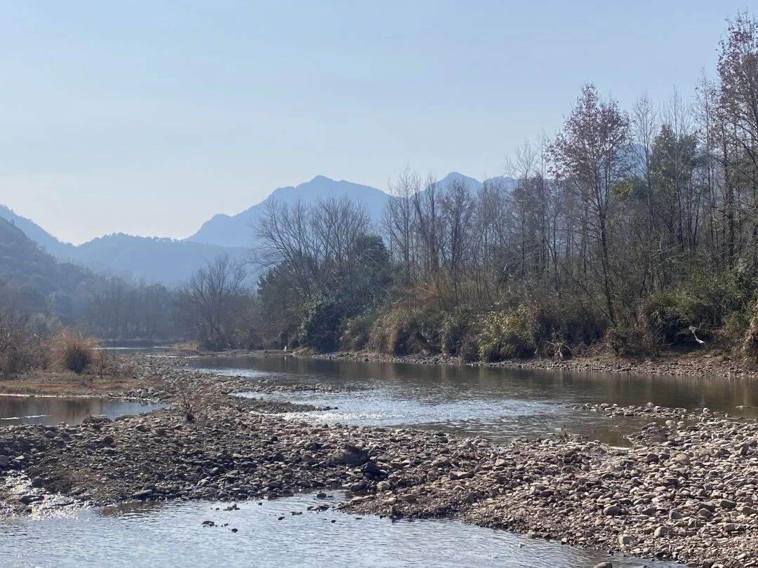 仙居石壁村下叶溪（朱溪港）：溪流肌理里的“田园叙事场”(图4)