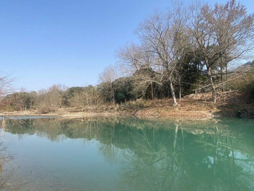 仙居石壁村下叶溪（朱溪港）：溪流肌理里的“田园叙事场”(图11)