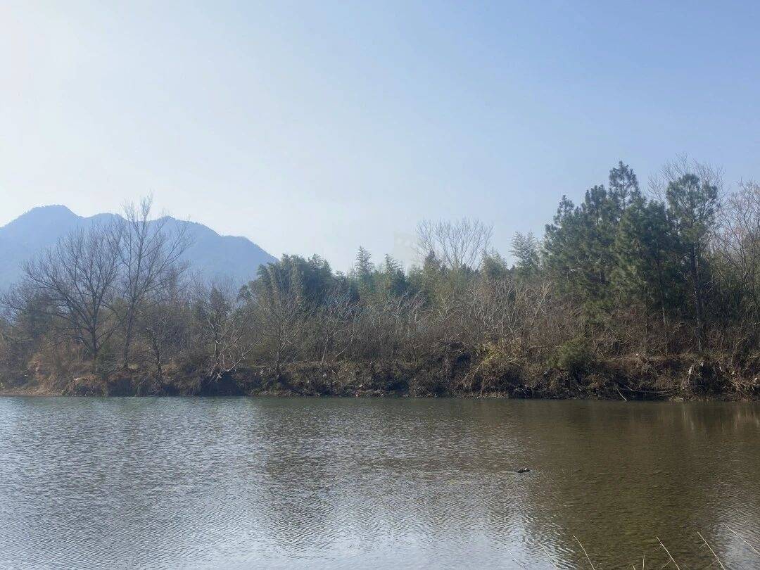 仙居石壁村下叶溪（朱溪港）：溪流肌理里的“田园叙事场”(图12)