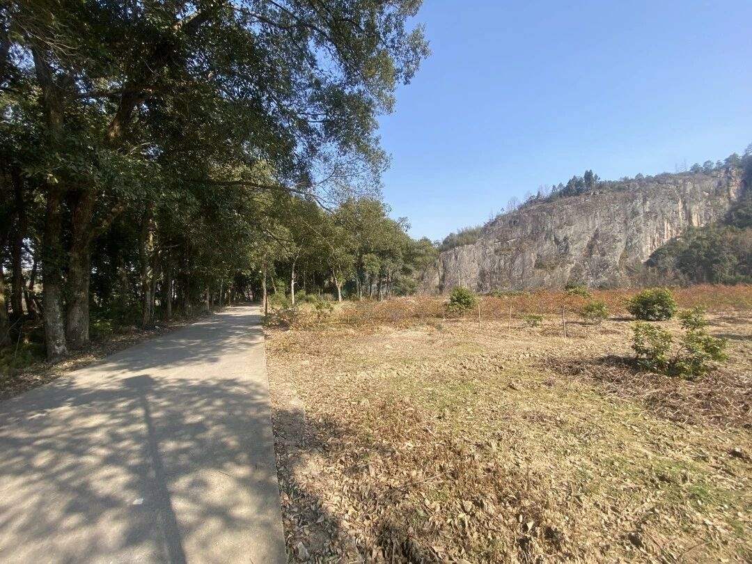 仙居石壁村下叶溪（朱溪港）：溪流肌理里的“田园叙事场”(图13)