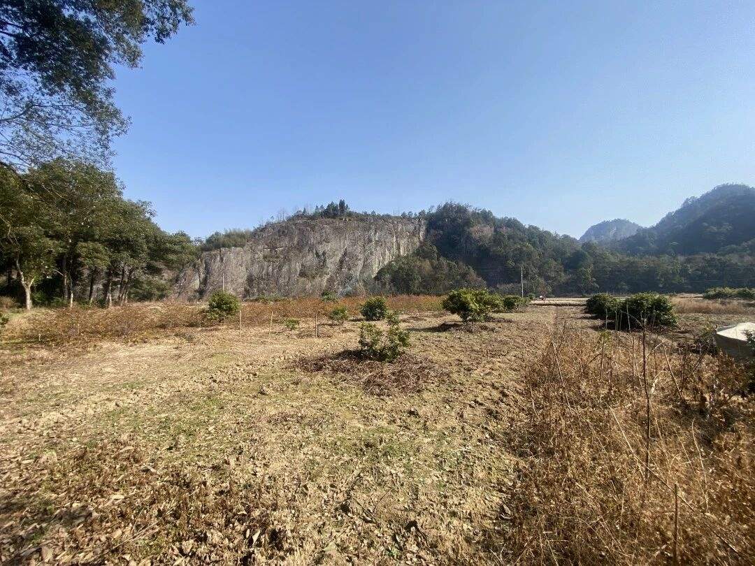 仙居石壁村下叶溪（朱溪港）：溪流肌理里的“田园叙事场”(图14)