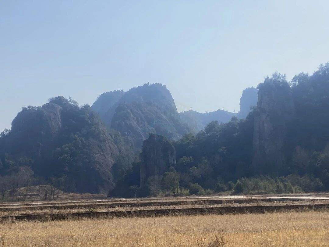 仙居石壁村下叶溪（朱溪港）：溪流肌理里的“田园叙事场”(图16)