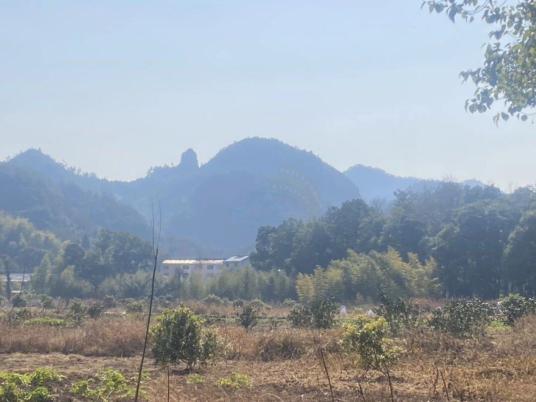 仙居石壁村下叶溪（朱溪港）：溪流肌理里的“田园叙事场”(图15)