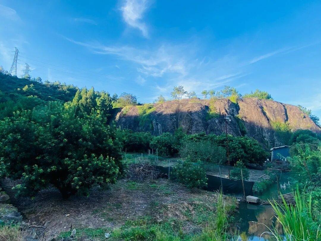 仙居下各镇隐仙庵：古寺禅影里的 “叙事结界”(图3)