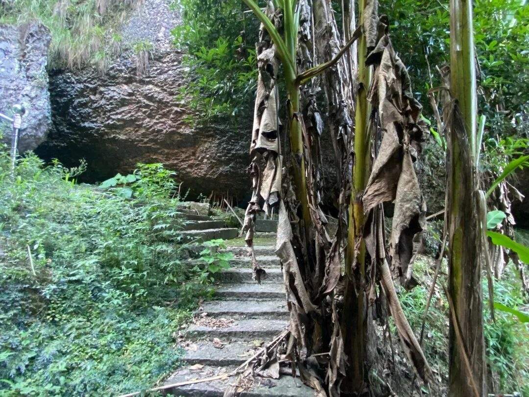 仙居下各镇隐仙庵：古寺禅影里的 “叙事结界”(图7)