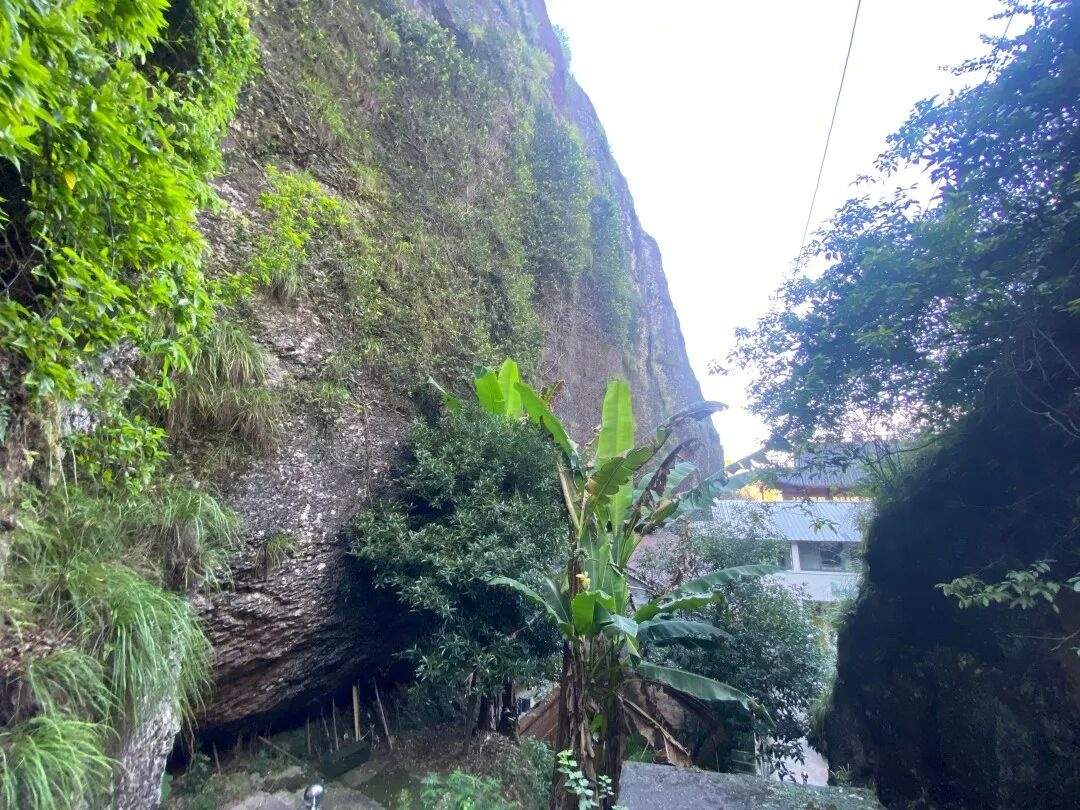仙居下各镇隐仙庵：古寺禅影里的 “叙事结界”(图9)