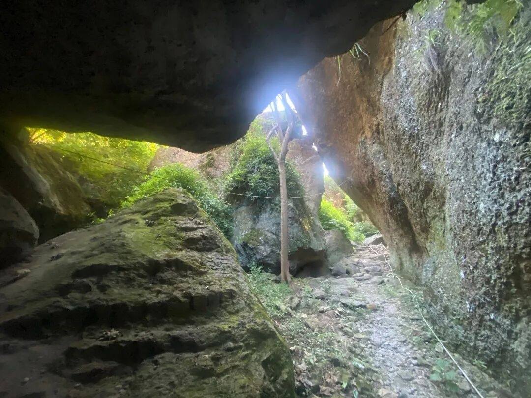 仙居下各镇隐仙庵：古寺禅影里的 “叙事结界”(图8)