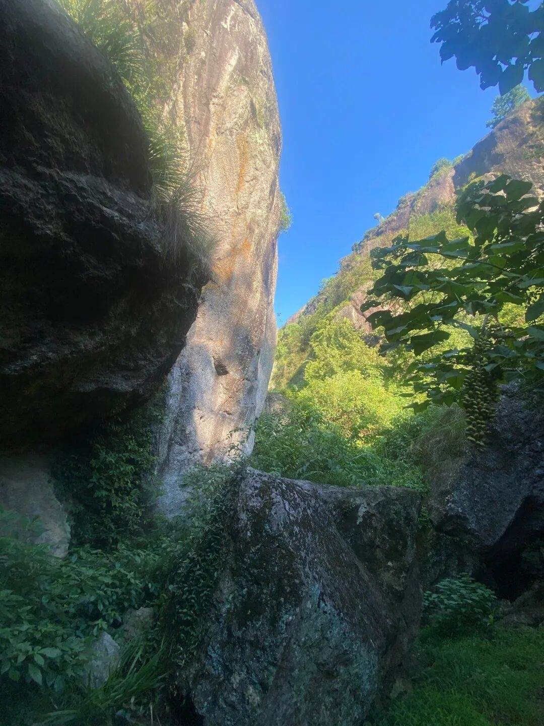 仙居下各镇隐仙庵：古寺禅影里的 “叙事结界”(图14)